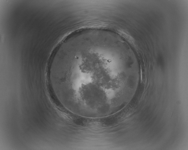 X0000074970483200609011220