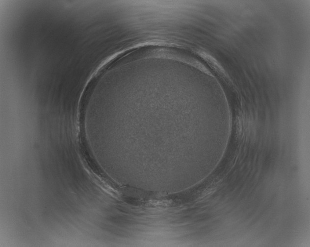 X0000074970484200609011220