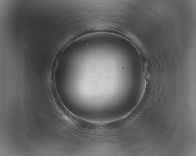 X0000074970485200609011220