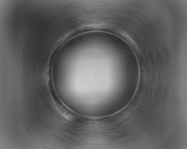 X0000074970486200609011220