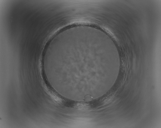 X0000074970487200609011220