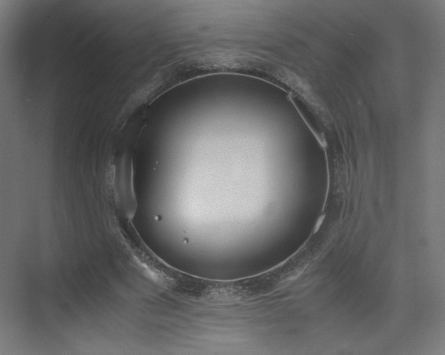 X0000074970489200609011220