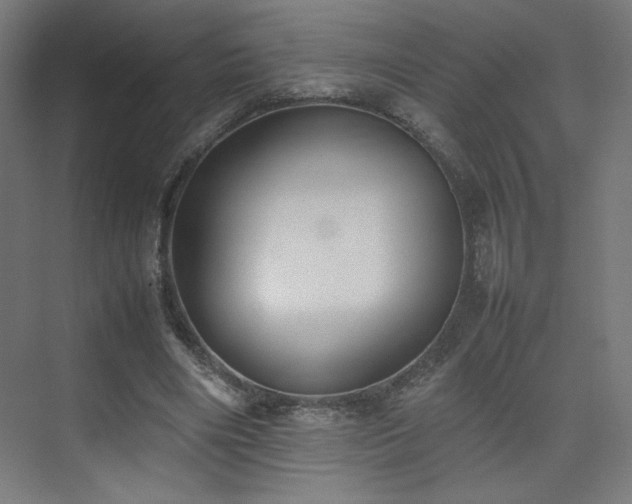 X0000074970490200609011220