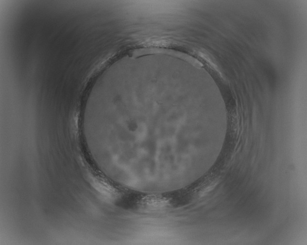 X0000074970491200609011219