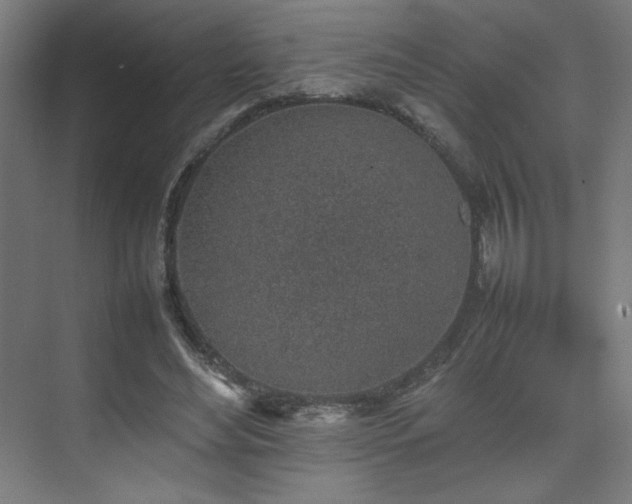 X0000074970492200609011219