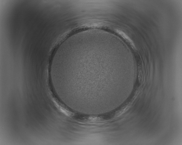 X0000074970493200609011219