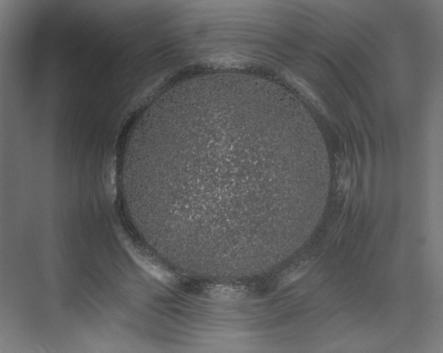 X0000074970494200609011219