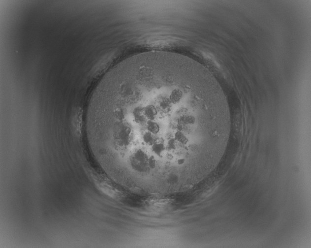 X0000074970495200609011219