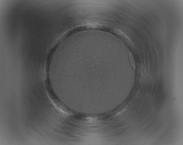 X0000074970496200609011219