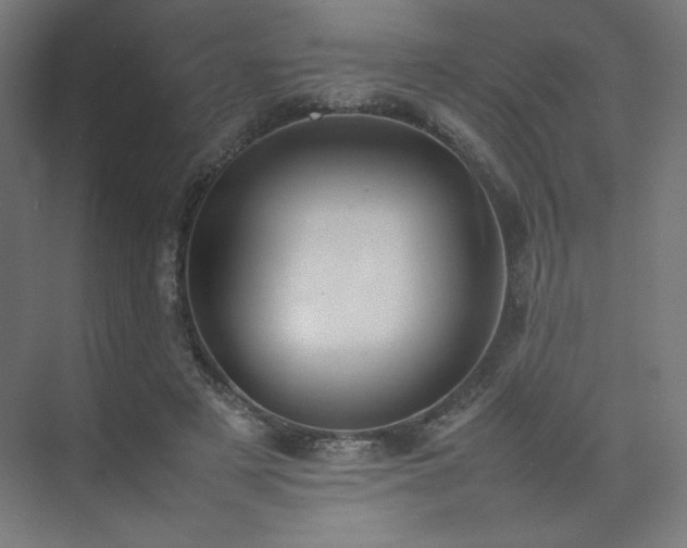 X0000074970497200609011219