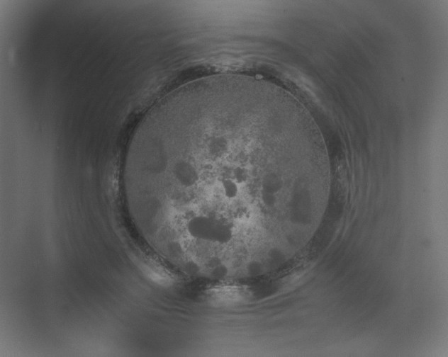 X0000074970499200609011219