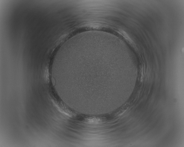 X0000074970500200609011219