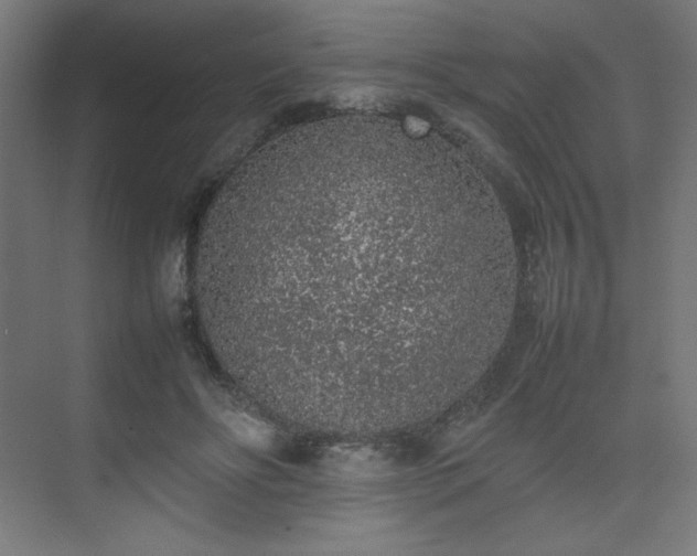 X0000074970502200609011219