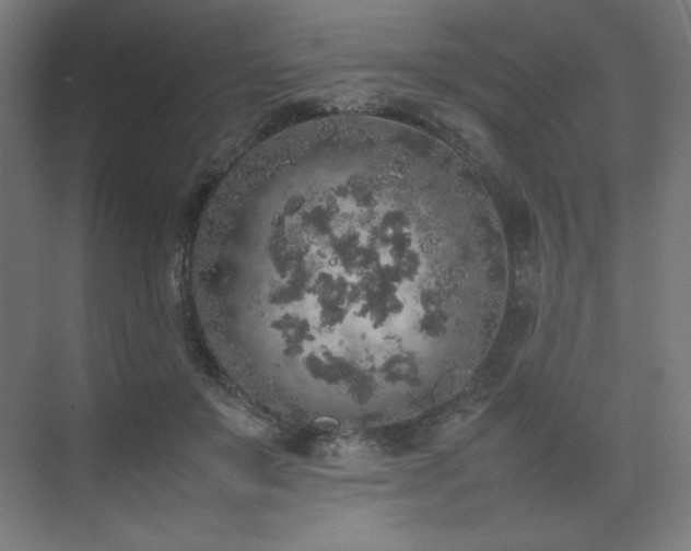 X0000074970503200609011219