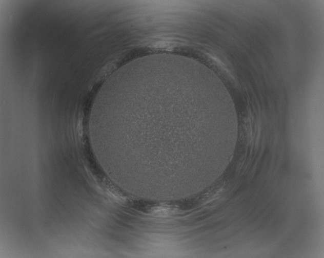 X0000074970504200609011219