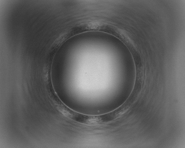 X0000074970505200609011219