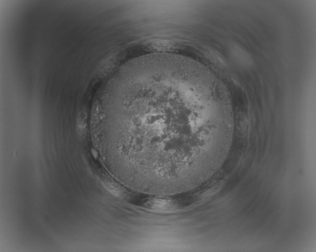 X0000074970507200609011219