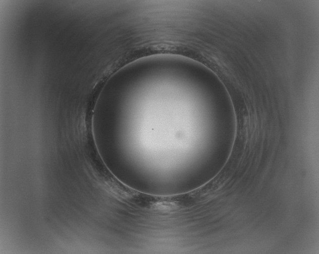 X0000074970508200609011219