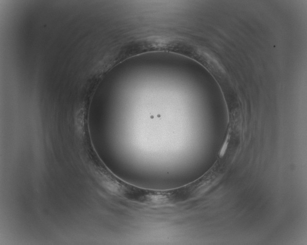 X0000074970509200609011219