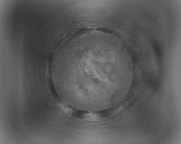 X0000074970511200609011219