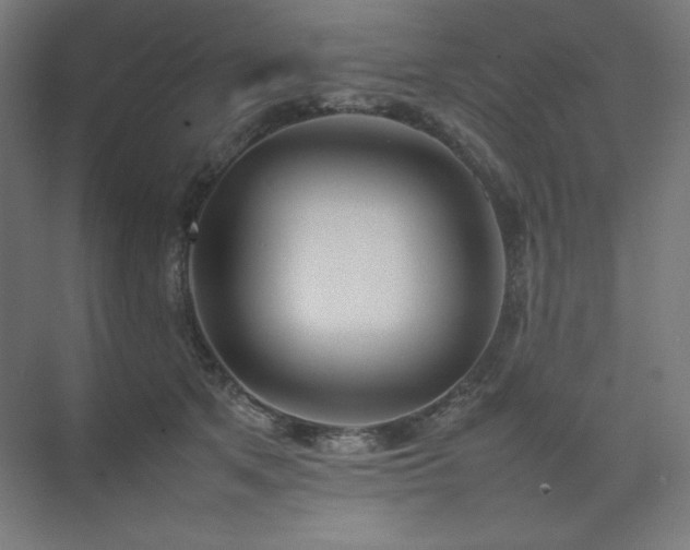 X0000074970513200609011219