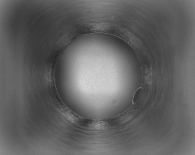 X0000074970514200609011219