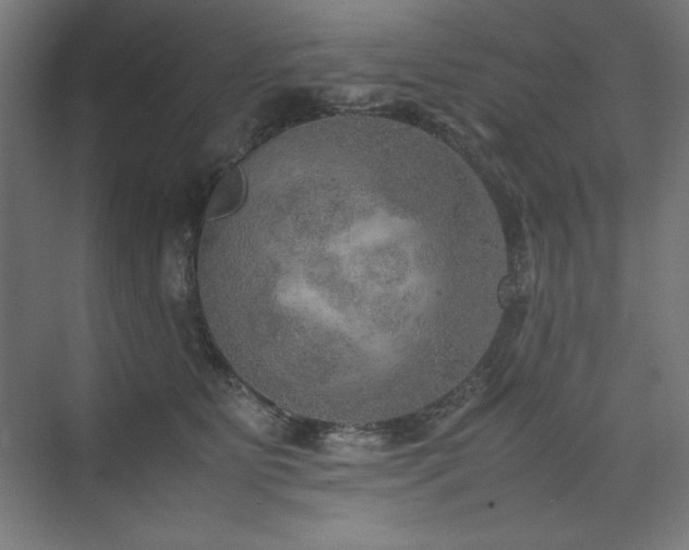 X0000074970515200609011219