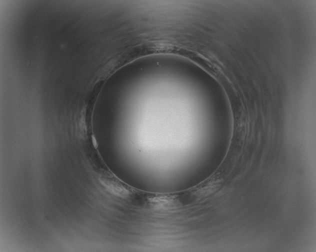 X0000074970516200609011219