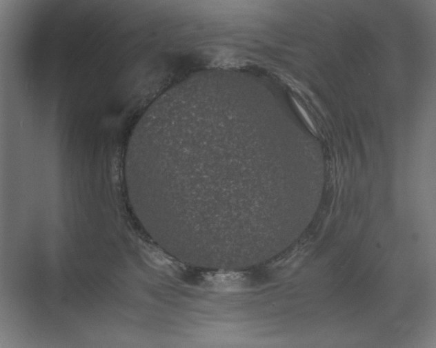 X0000074970517200609011219