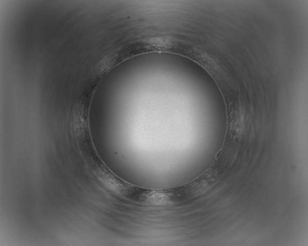 X0000074970518200609011219