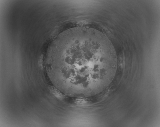 X0000074970519200609011219