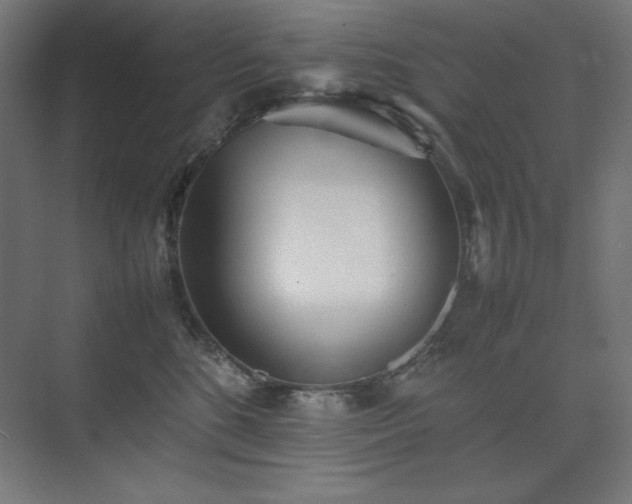 X0000074970520200609011219