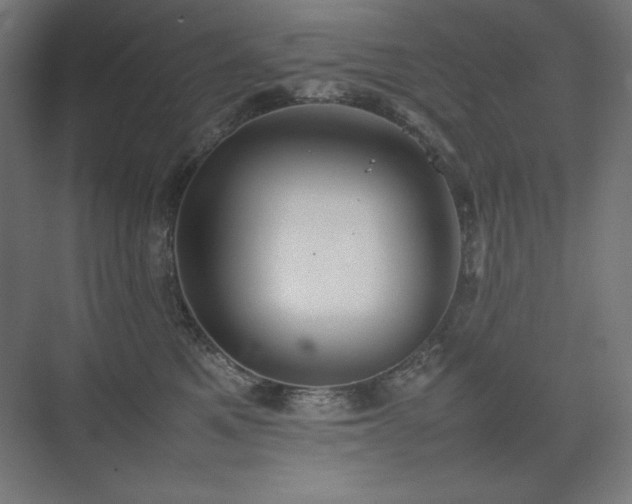 X0000074970521200609011219