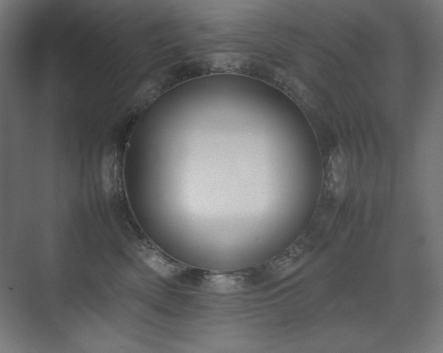 X0000074970522200609011219