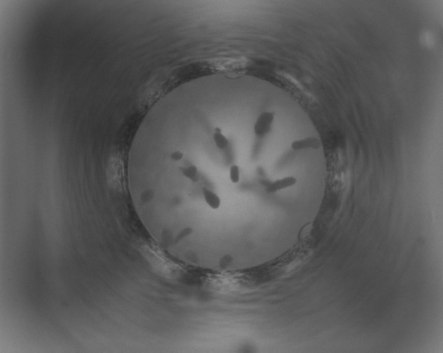 X0000074970523200609011219