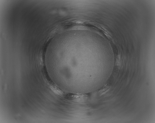 X0000074970524200609011219