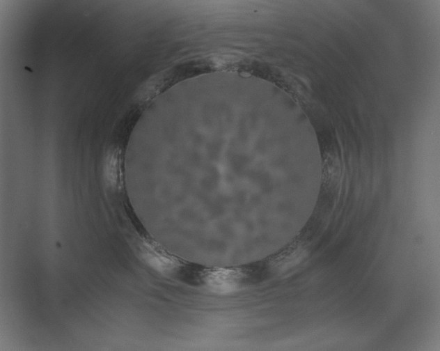 X0000074970527200609011219