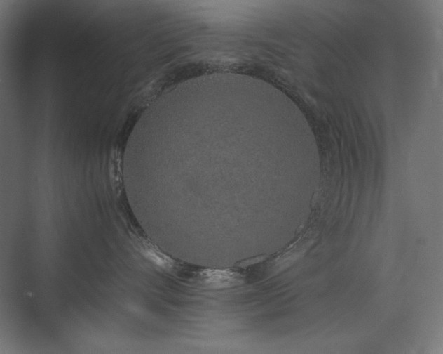 X0000074970528200609011219