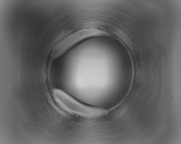 X0000074970530200609011218