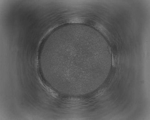 X0000074970531200609011218