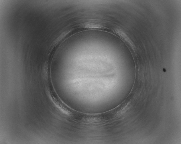 X0000074970533200609011218