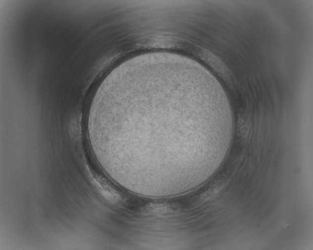 X0000074970534200609011218