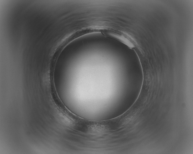 X0000074970535200609011218