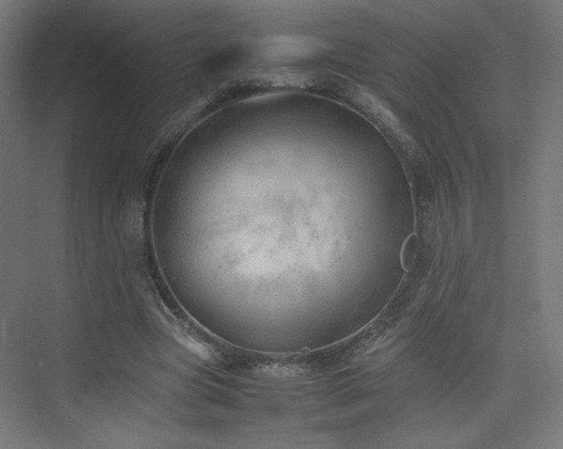 X0000074970537200609011218