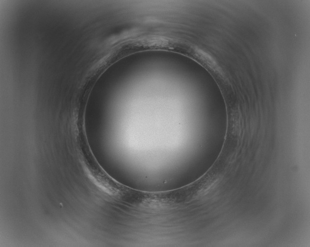 X0000074970538200609011218