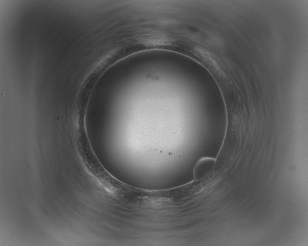 X0000074970539200609011218