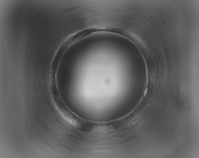 X0000074970540200609011218