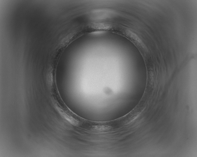 X0000074970541200609011218