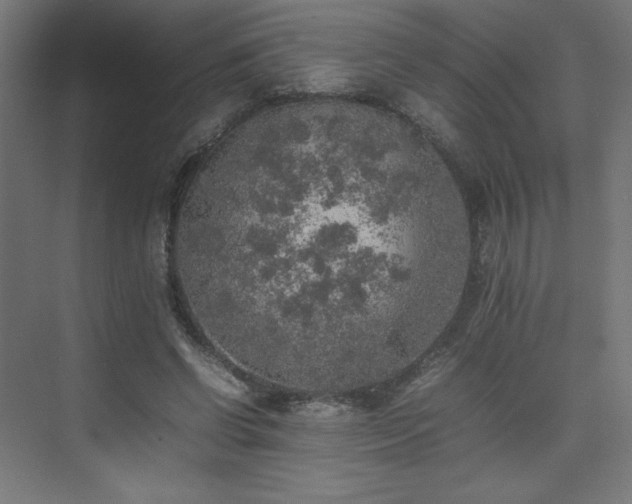 X0000074970542200609011218