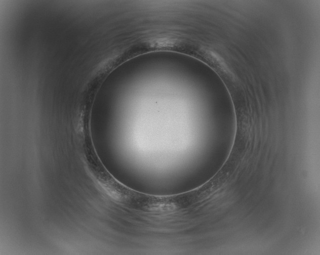 X0000074970543200609011218